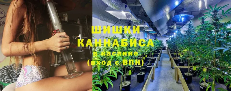 Виды наркотиков купить Череповец ГАШ  Бошки Шишки  A PVP  blacksprut вход  Cocaine  Мефедрон 