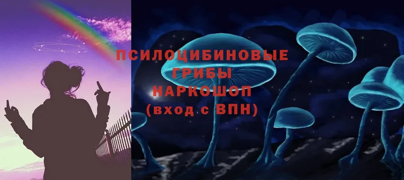 Псилоцибиновые грибы Cubensis  Череповец 