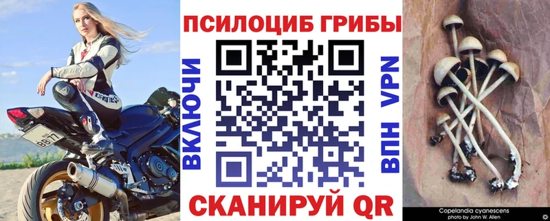 где найти Череповец Псилоцибиновые грибы ЛСД