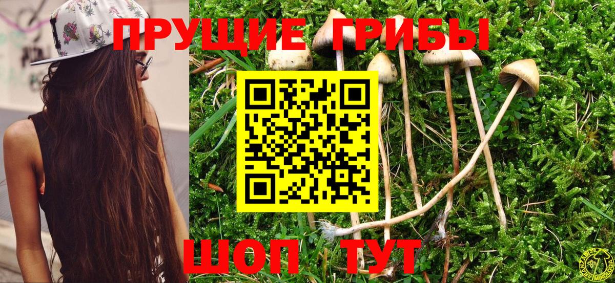 Череповец  Галлюциногенные грибы MAGIC MUSHROOMS  Вход с VPN 