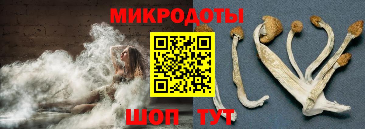 Галлюциногенные грибы Cubensis Череповец